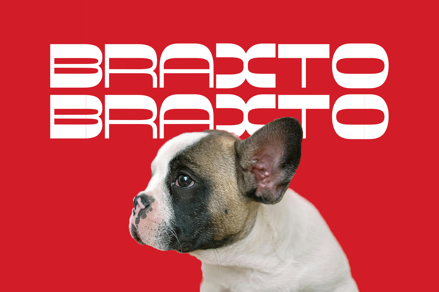 Braxto Display Typeface