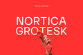 Nortica Display Typeface