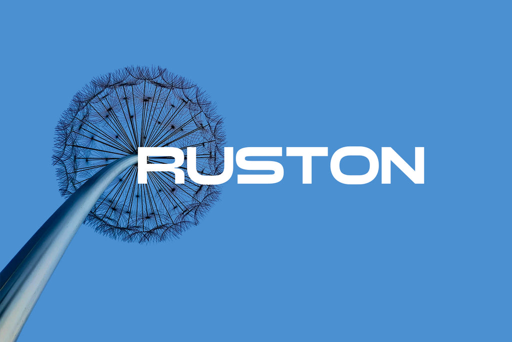 Auston Display