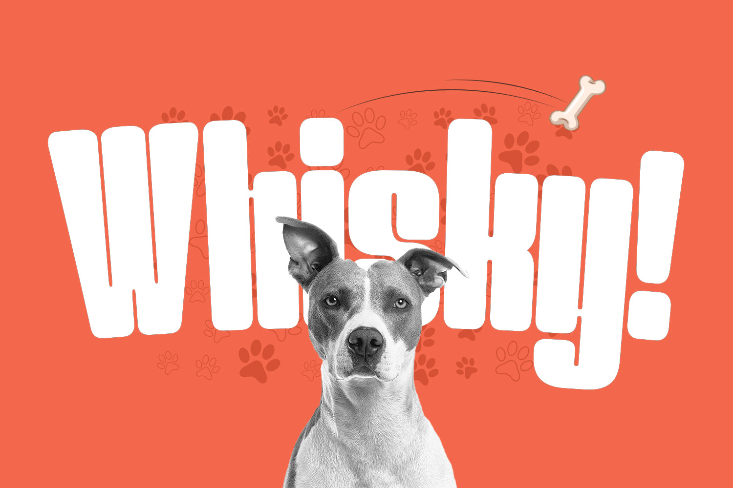 Werner Display  Decorative Font