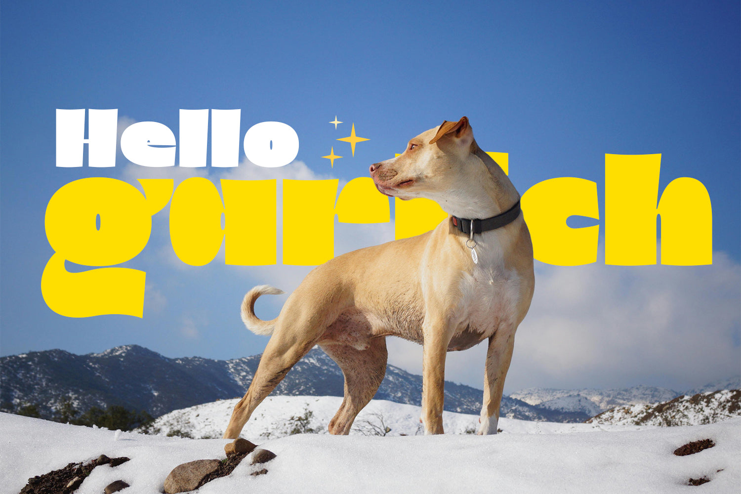 Eclister Display Typeface