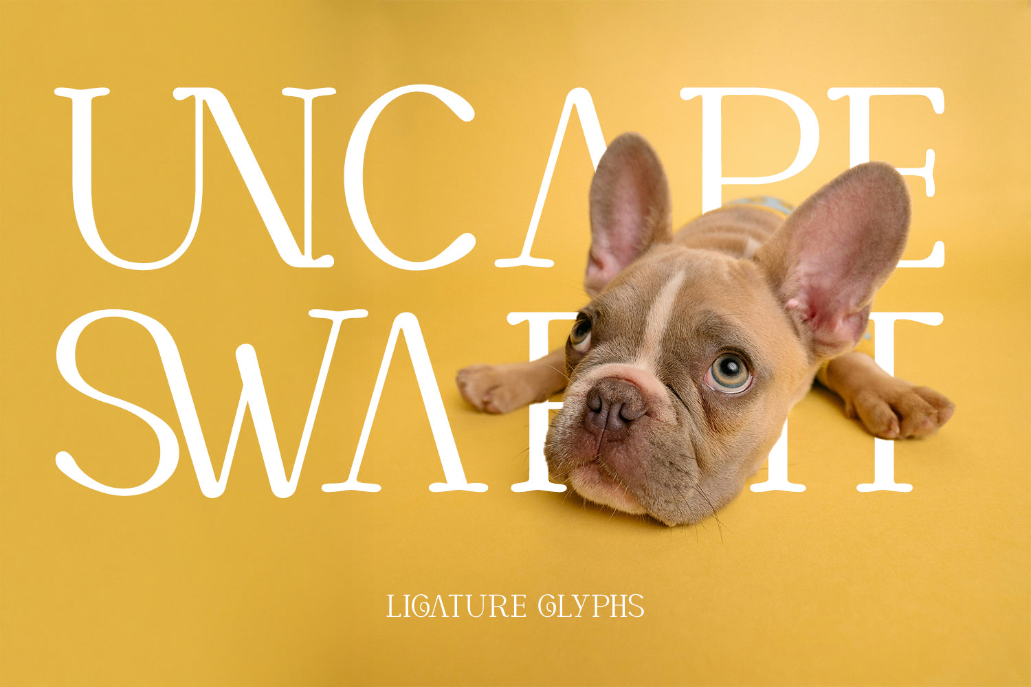 Cortexo Typeface