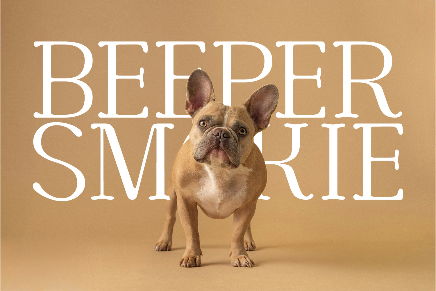 Cortexo Typeface