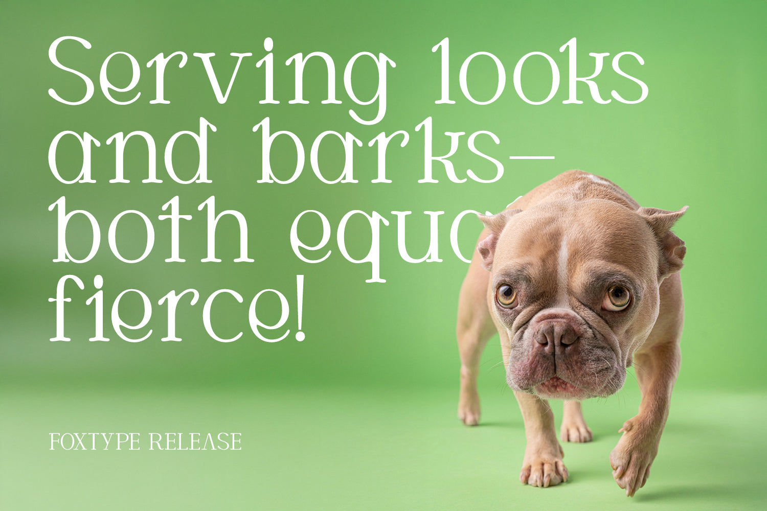 Cortexo Typeface