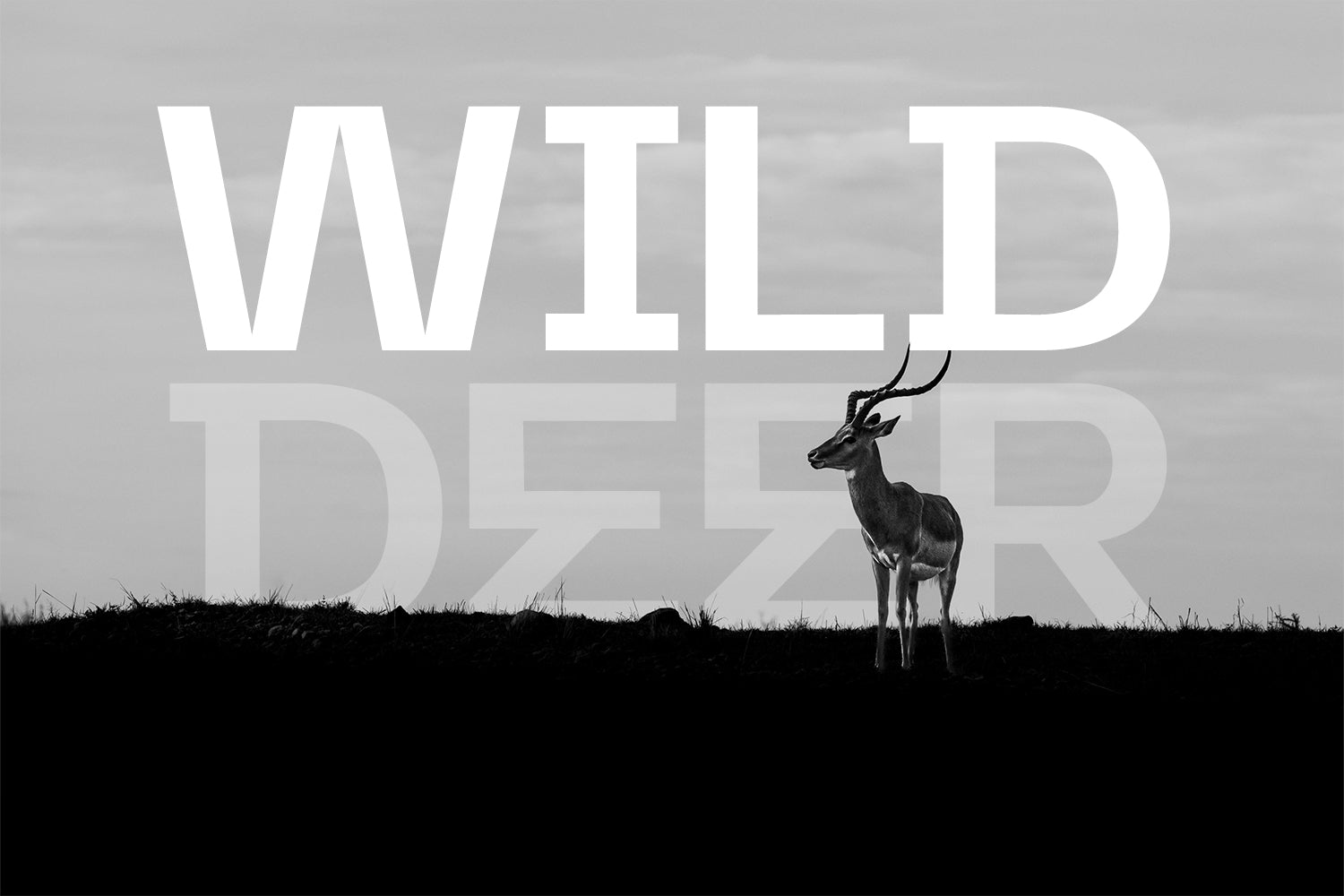 Replicon Typeface